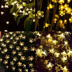 SN-Flower String Light 4 Mtr 20 LED